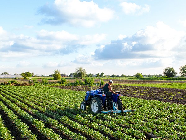 Garza Labor – Your Trusted Farm Labor Contractor in the USA